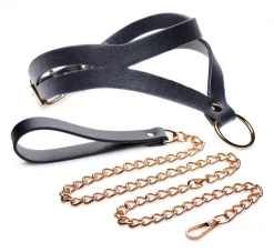 Master Series Sex Toy Kits & Collections | Leashes & Collars>Black and Gold Collar with Leash Kit