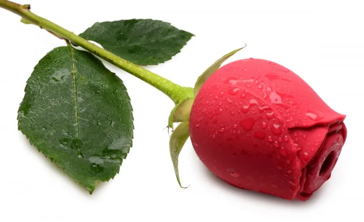 Bloomgasm Silicone Vibrators | Waterproof Vibrators>Wild Rose 10X Silicone Clit Stimulator