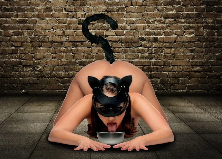 Tailz Ball Gags & Mouth Restraints | Masks & Dress-Up Accessories>Cat Tail Anal Plug and Mask Set
