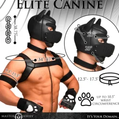 Master Series Puppy Play><noscript><img width=