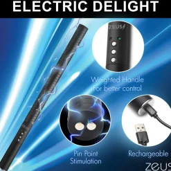 Zeus Electrosex Impact: Whips, Crops & Spankers><noscript><img width=