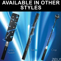 Zeus Electrosex Impact: Whips, Crops & Spankers><noscript><img width=