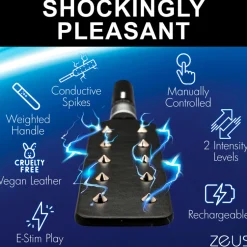 Zeus Electrosex Impact: Whips, Crops & Spankers><noscript><img width=