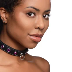 Master Series Leashes & Collars>Fierce Vixen Leather Choker with Rhinestones