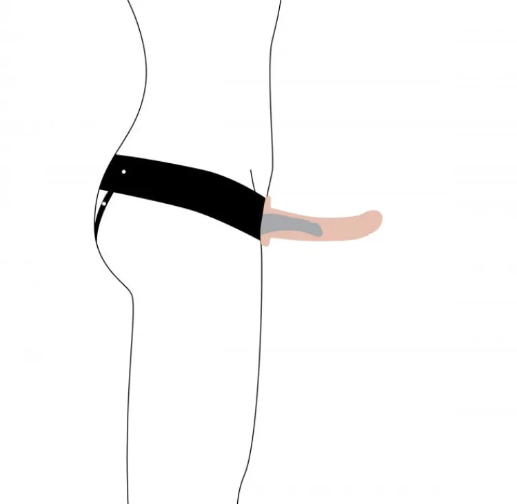 Size Matters Harness Compatible Dildos | Strap-On Harnesses & Dildos>Flesh Erection Assist Hollow Strap-on