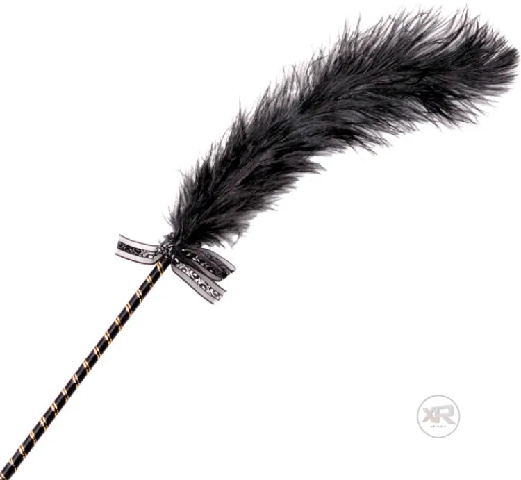 Frisky Sensation Play, Tools & Accessories | Impact: Whips, Crops & Spankers>Feather Tickler