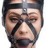 Master Series Ball Gags & Mouth Restraints | Masks & Dress-Up Accessories>Head Harness with Ball Gag