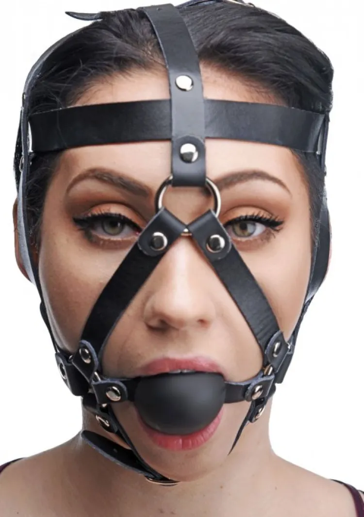 Master Series Ball Gags & Mouth Restraints | Masks & Dress-Up Accessories>Head Harness with Ball Gag