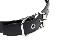 STRICT Ball Gags & Mouth Restraints | Masks & Dress-Up Accessories><noscript><img width=