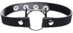 Master Series Leashes & Collars><noscript><img width=