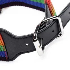 Master Series Sex Toy Kits & Collections | Leashes & Collars><noscript><img width=