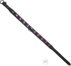 Strict Leather Leashes & Collars>Leather Rhinestone Collar
