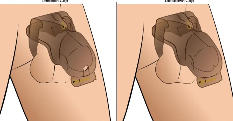 Master Series Chastity Devices | Penis Rings>Lockdown Customizable Chastity Cage