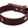 Strict Leather Leashes & Collars>Luxury Burgundy Collar