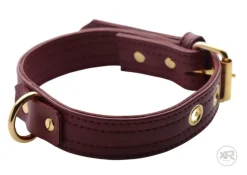 Strict Leather Leashes & Collars>Luxury Burgundy Collar