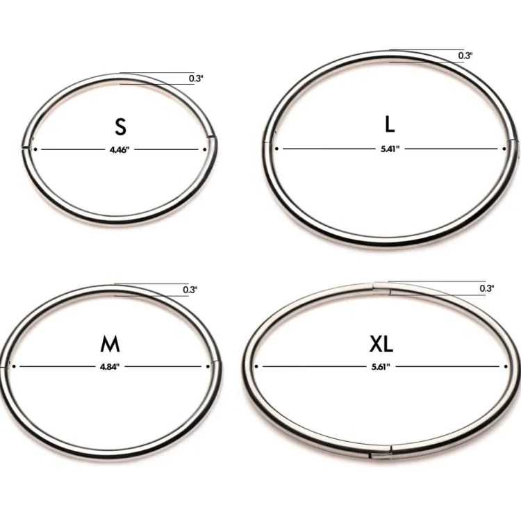 Master Series Leashes & Collars>Possession Stainless Steel Locking Collar