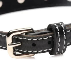 STRICT Leashes & Collars><noscript><img width=