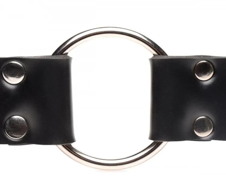 Master Series Anal Pegging Toys | Dildo Accessories>Strap and Ride Dildo Strap Harness