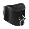 Strict Leather Leashes & Collars>Locking Posture Collar