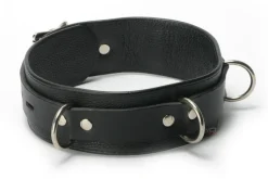 Strict Leather Leashes & Collars>Premium Lockable Collar