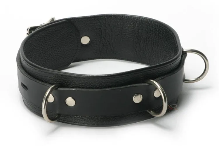 Strict Leather Leashes & Collars>Premium Lockable Collar