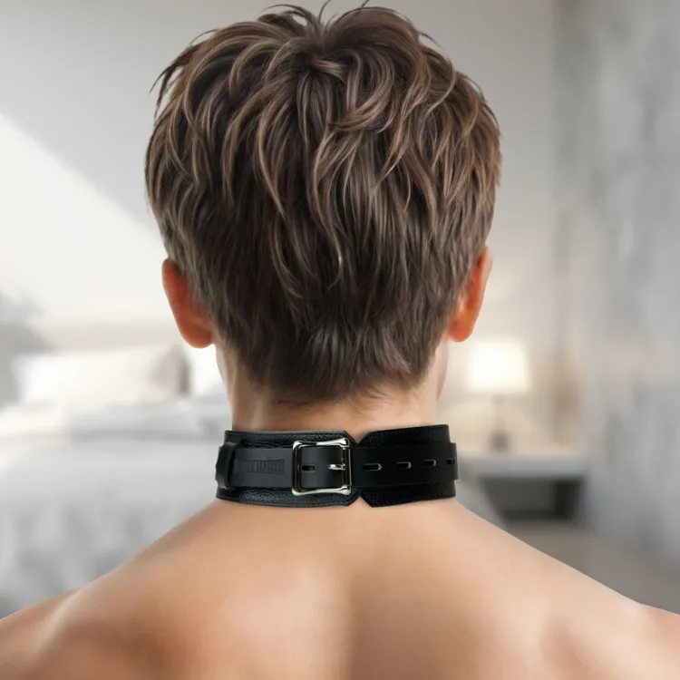 Strict Leather Leashes & Collars>Premium Lockable Collar