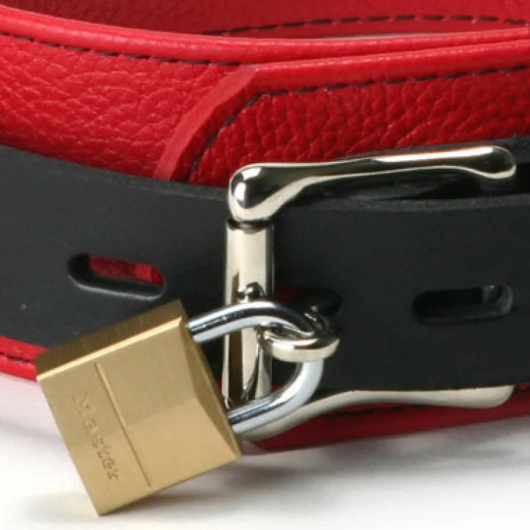 Strict Leather Leashes & Collars>Red and Black Locking Collar