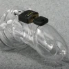 Healthy u0026 Active Chastity Devices | Penis Rings>The CB6000 Male Chastity Device