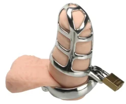 Master Series Chastity Devices | Penis Rings>The Stainless Steel Chastity Cage