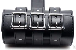 STRICT Wrist & Ankle Cuffs><noscript><img width=