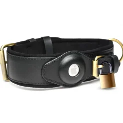 Master Series Leashes & Collars><noscript><img width=