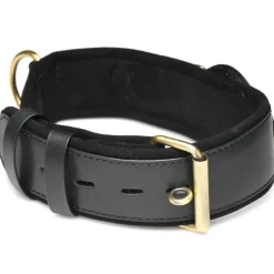 Master Series Leashes & Collars><noscript><img width=