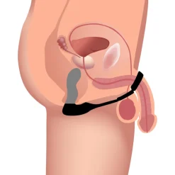 Swell Prostate Massagers | Penis Rings><noscript><img width=