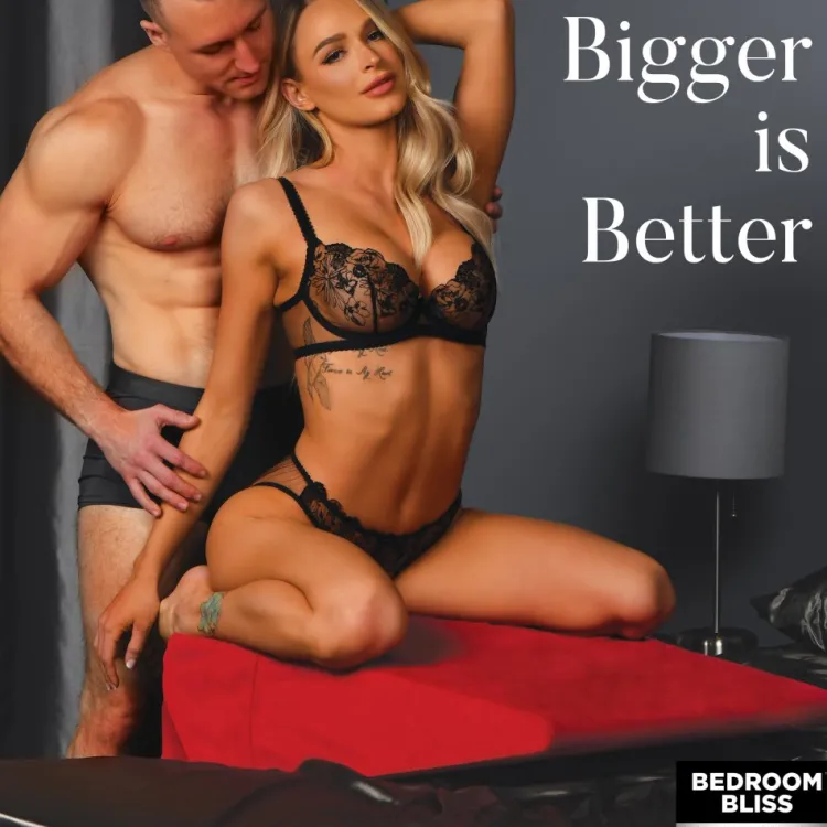 Bedroom Bliss Sex Furniture, Swings, & More | Sex Furniture>XL Sex Wedge Pillow